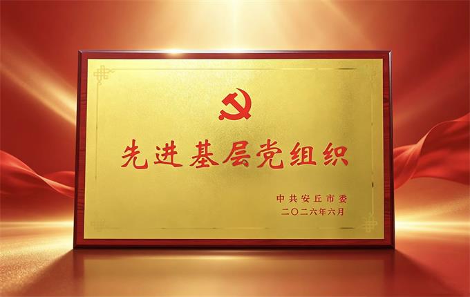 “柠”聚红色力量 献礼七一华诞｜公司党支部荣...